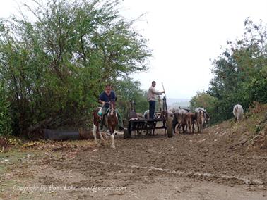 2010 Cuba, Chivirico - Baracoa, DSC09865b_B740
